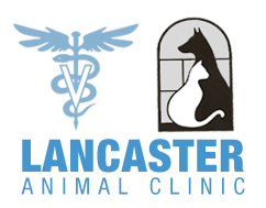 Lancaster Animal Clinic